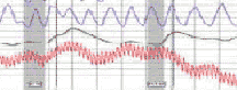 Lancaster California lie detector test